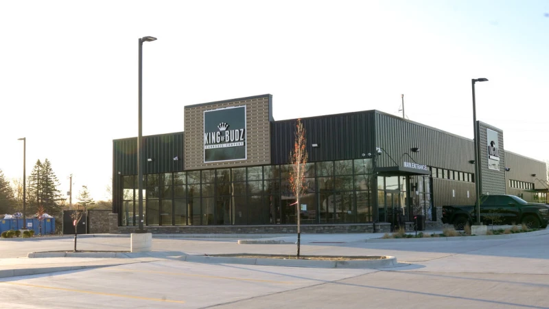 King of Budz gallery image 4