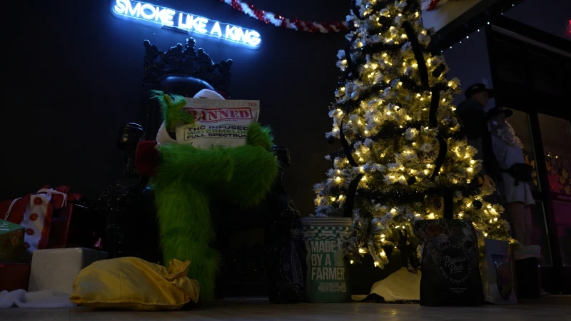 The Grinch Stoned Christmas | 25 Days of Deals