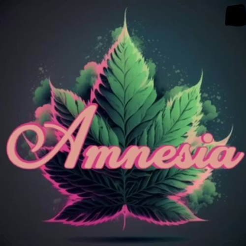 Amnesia