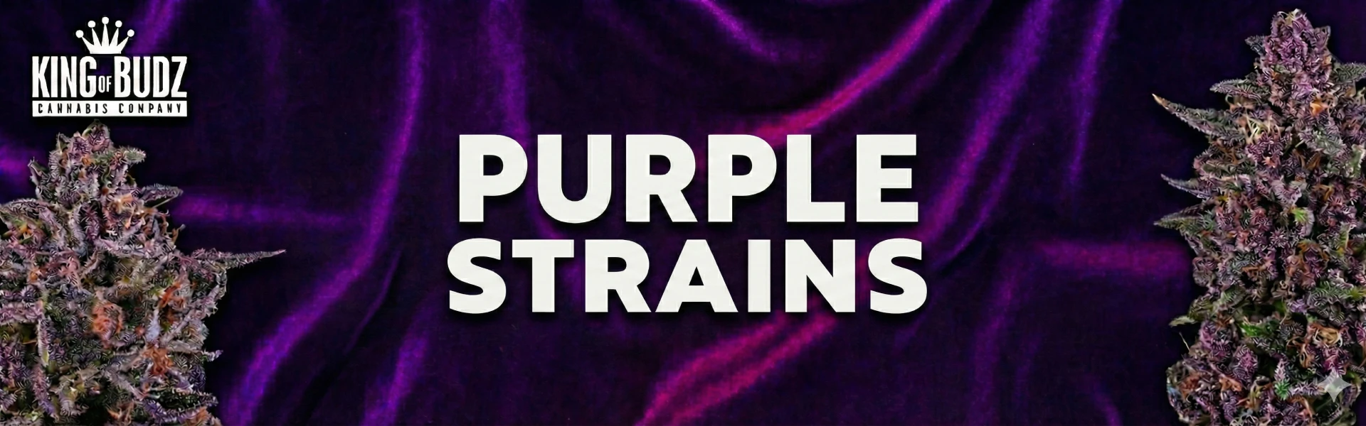 Purple Weed Strains